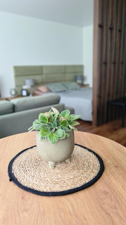 Mona Apartamentai Telšiai Extérieur photo